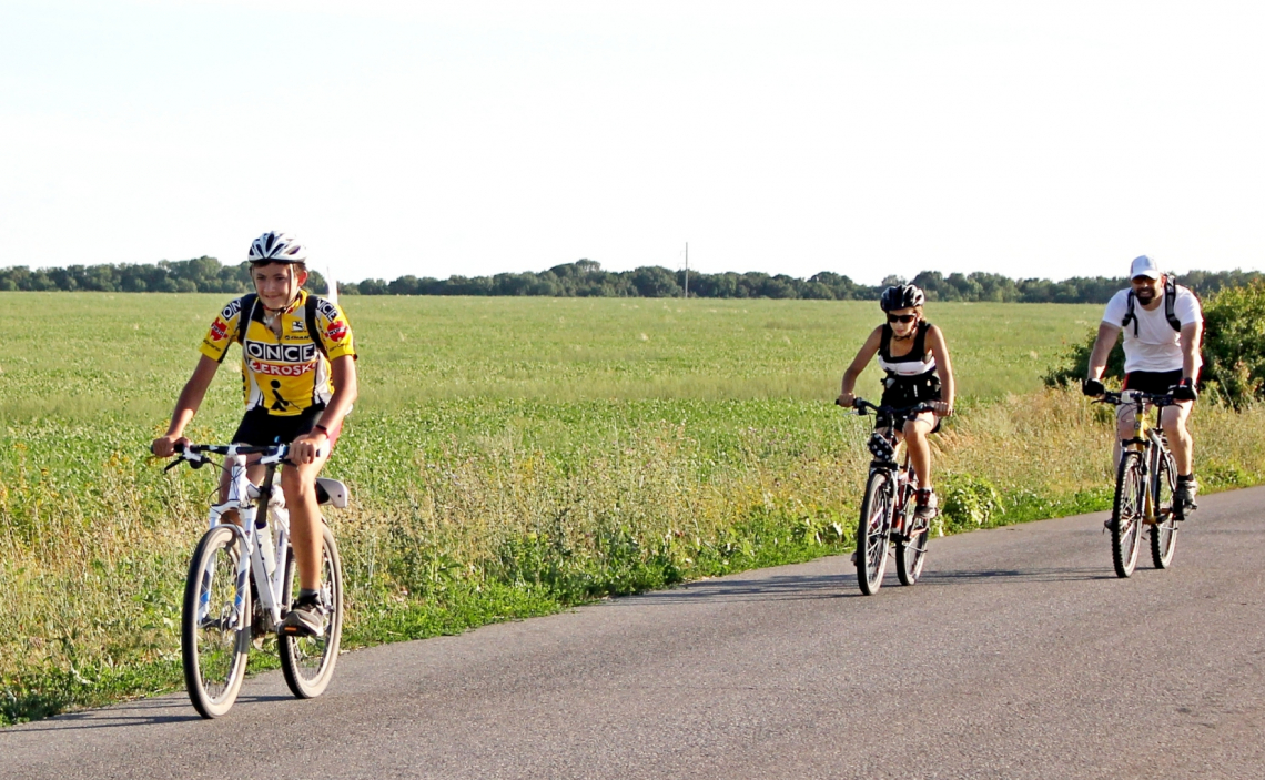 «Восемьсот километров за восемьсот лет» обновите или подождите...